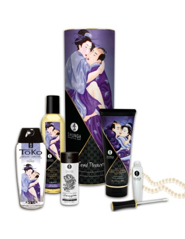 Kit Recomendado Shunga Carnal Pleasure Kit